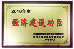 2016 Economic Construction Project